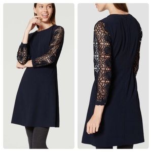 NWT LOFT Lace Sleeve Swing Dress